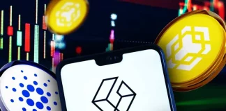 Crypto ETF News: BNB Gets Institutional Boost as Binance Coin Replaces Cardano In Grayscale’s GDLC Fund
