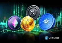 Will Crypto Market Crash This Week? Analysts Predict Timeline for Volatility